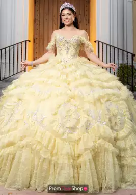 Vizcaya Dress 4080058