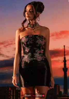 Rachel Allan Dress 40665