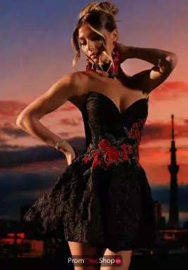 Rachel Allan Dress 40774