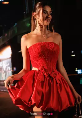 Rachel Allan Dress 40766