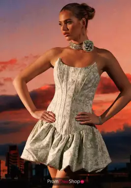 Rachel Allan Dress 40695