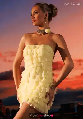 Rachel Allan Dress 40668