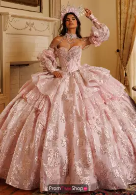 Rachel Allan Quince Dress RQ6020