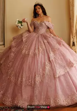 Rachel Allan Quince Dress RQ3188