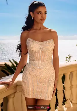 Portia and Scarlett Dress XO210